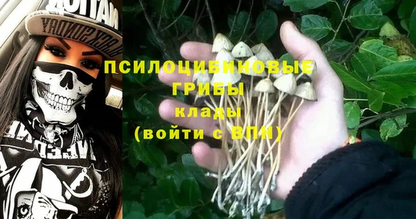 дмт Балахна