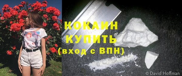 молекула духа Магас