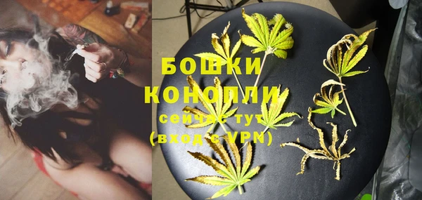 PSILOCYBIN Елабуга