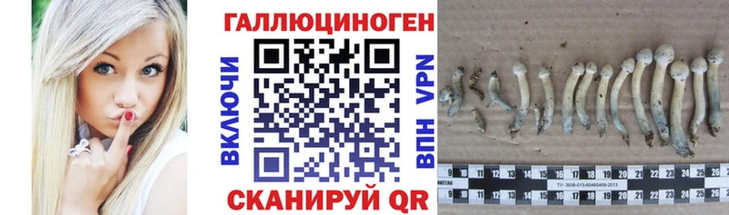 мега рабочий сайт  Бобров  Галлюциногенные грибы ЛСД 